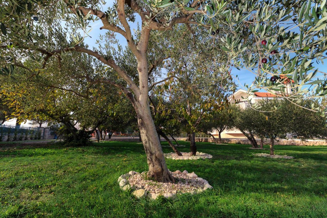 Villa Dream Srima Εξωτερικό φωτογραφία